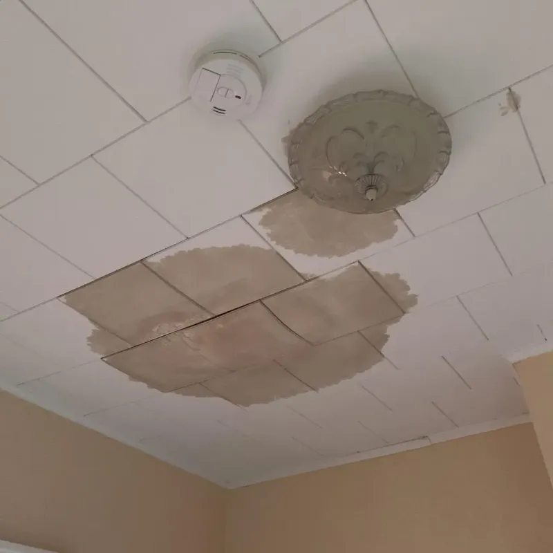 Ceiling Water Damage Repair in Central Valley, NY