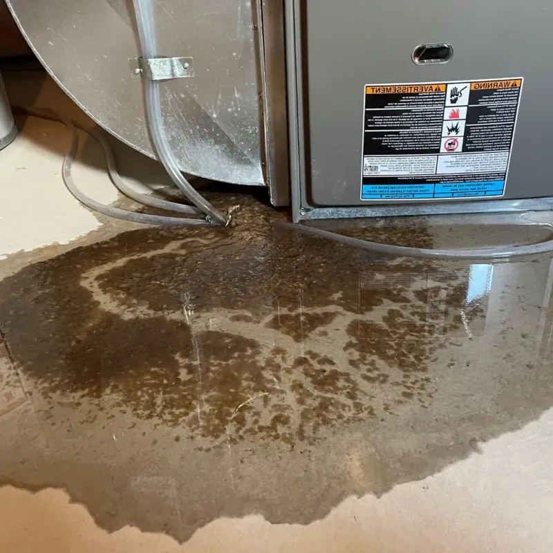 Pipe Burst and Leak Restoration in Central Valley, NY